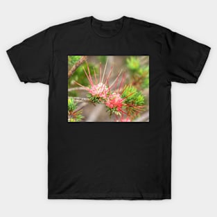 Darwinia fascicularis T-Shirt